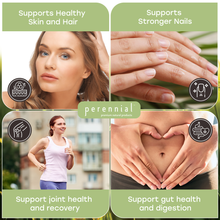 Collagen Protein Pure