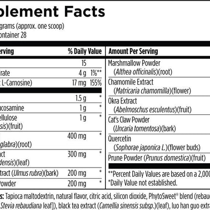 GI Revive 225g powder